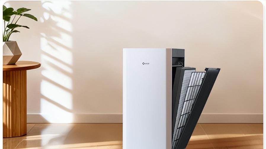 鼻炎党实测新颐小白 3.0：花粉、尘螨、异味一次全搞定