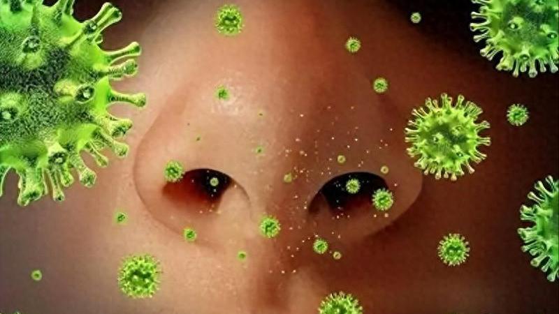 鼻塞、流涕、喷嚏不断？你可能以为是流感，实际鼻病毒在作祟