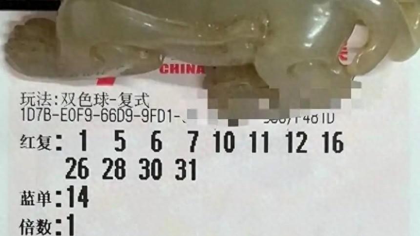 12+1复式大票领衔，单式票和胆拖票百花齐放，谁能收获满满？26008期双色球晒票欣赏