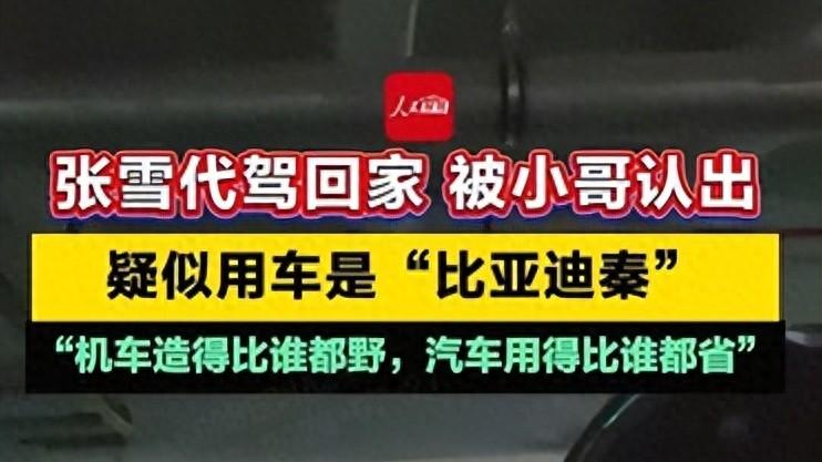 机车顶流张雪座驾是比亚迪秦L