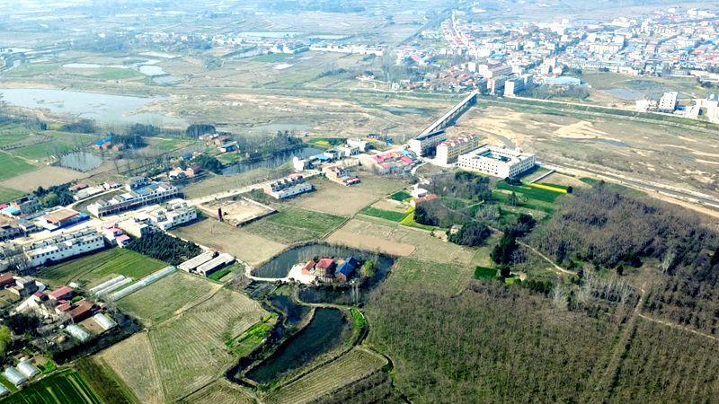 一群人、一条心：绘就潢川县传流店乡“十五五”开局新画卷