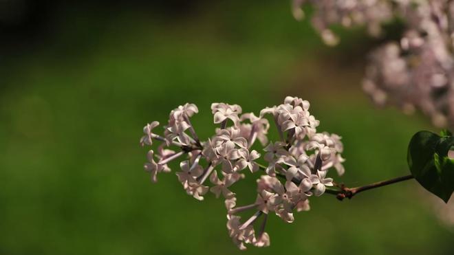 我靠这4个好习惯，摆脱了迷茫内耗，日子越走越顺（亲测有效）