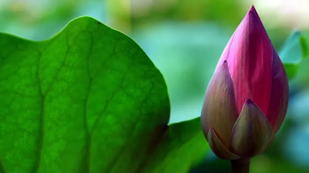 如果有人让你见识了什么叫不择手段，那么一定要让他明白什么叫破釜沉舟