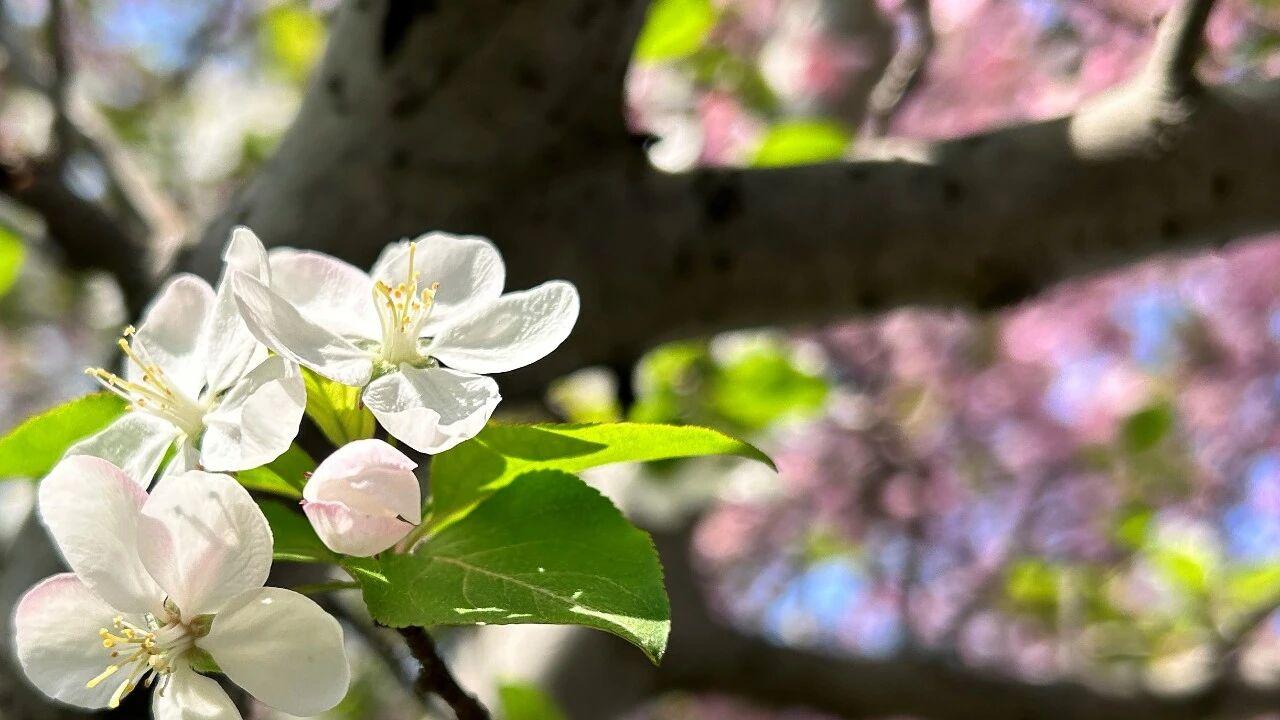 在这3种情况下，男人会为了第三者离婚，原配要看穿