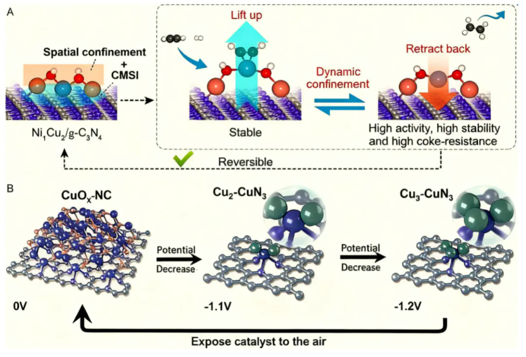 单原子与团簇催化剂：原子结构、电子特性与催化机制的系统对比