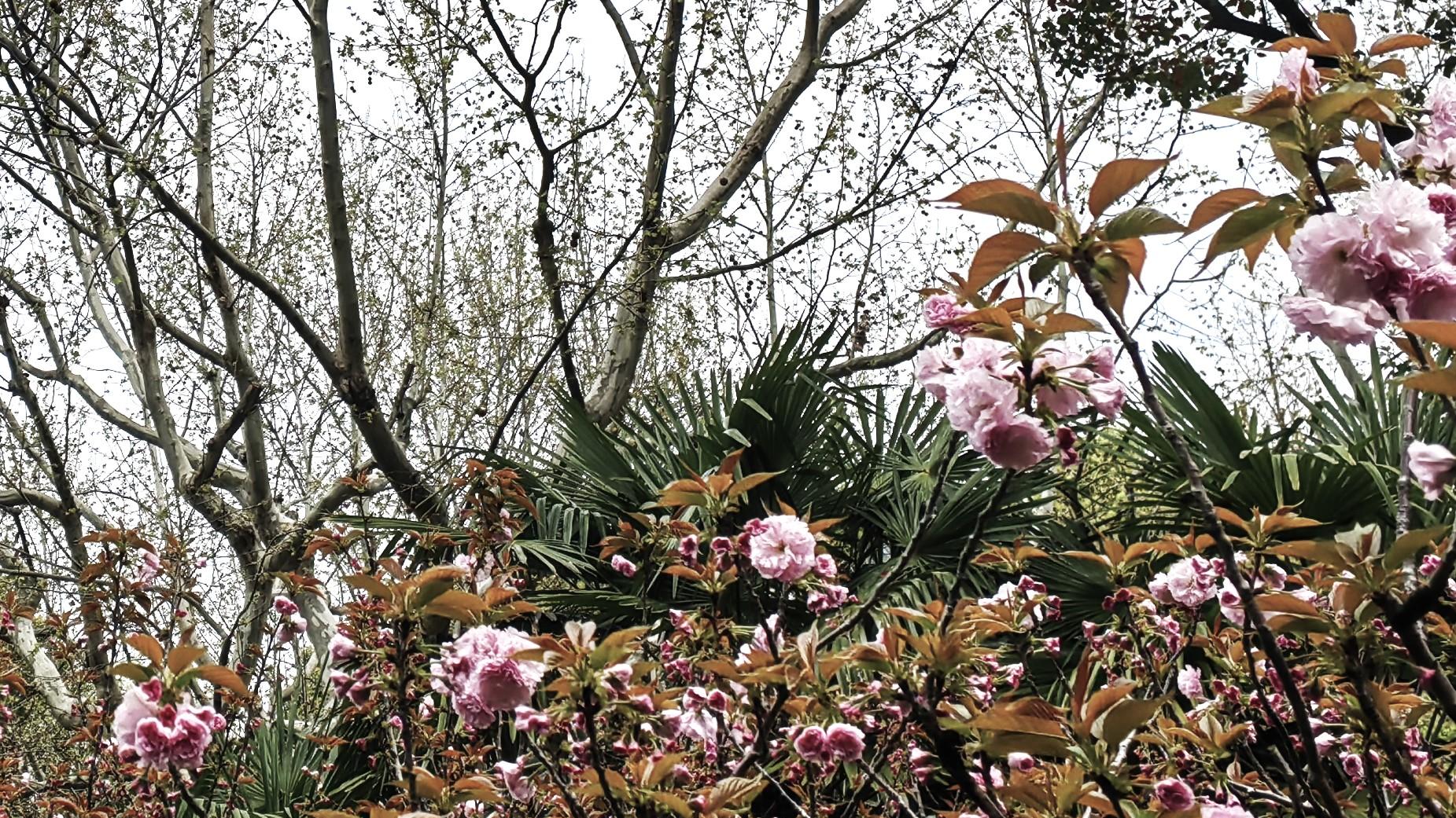 招牌：是守是丢，在于人