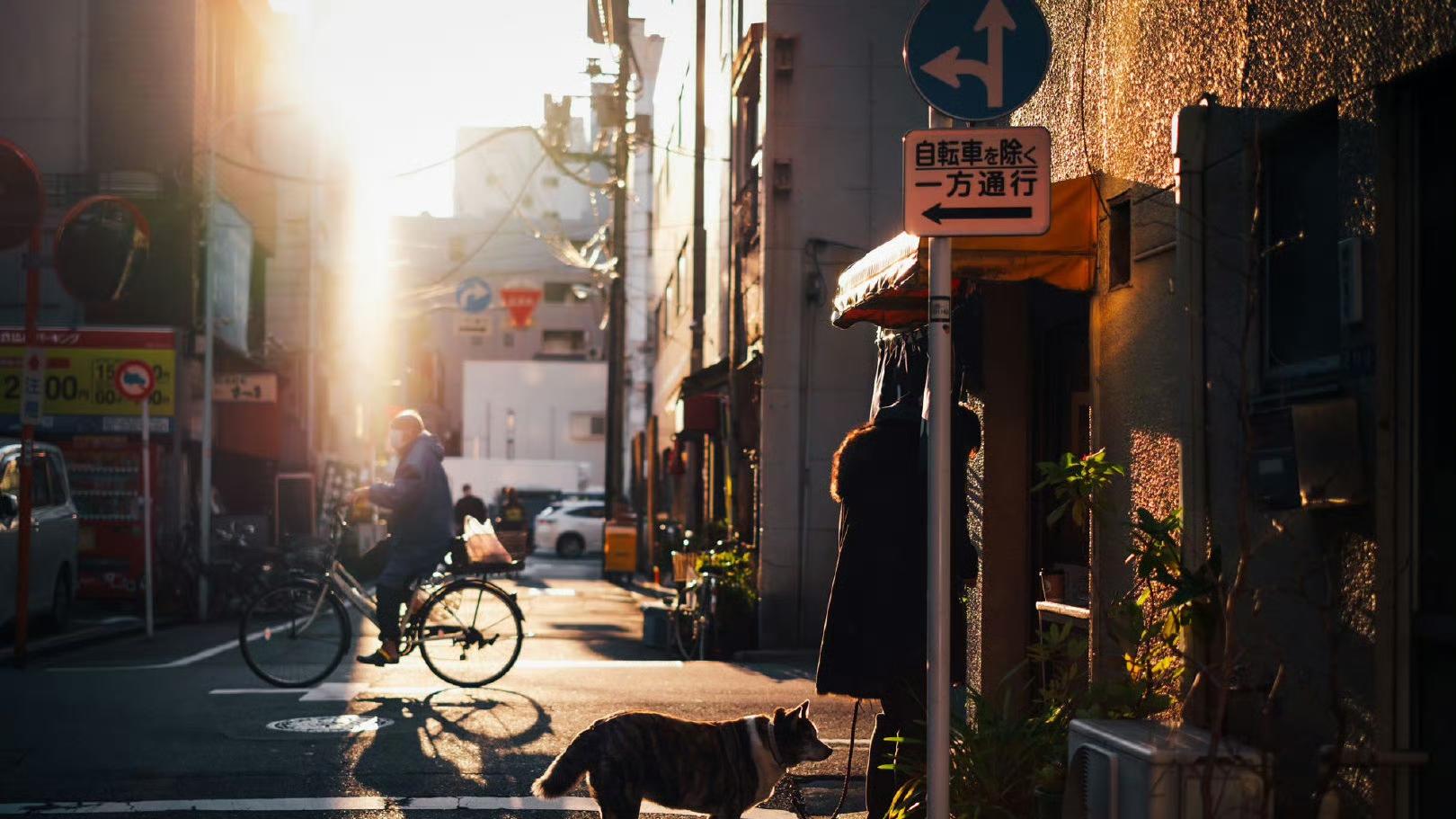 每周推荐 | Takashi Yasui 街头光影