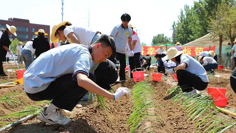 2026年石家庄市学生劳动技能竞赛暨“五一”劳动周（月）正式启动