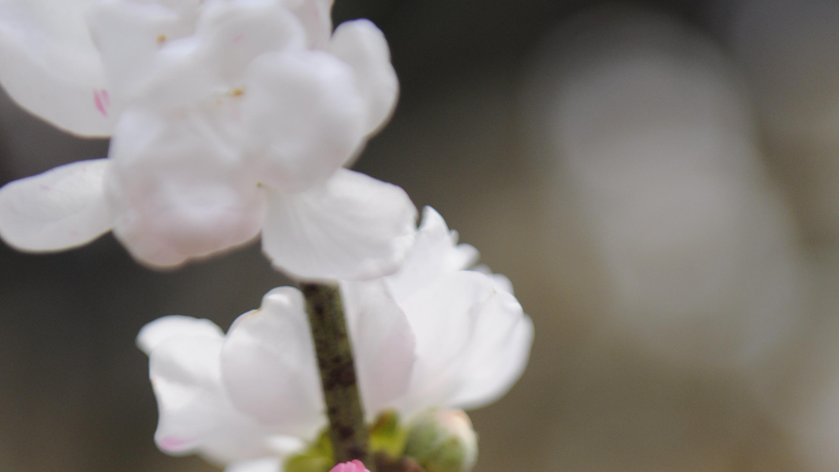 这份答卷真不是分数能衡量的