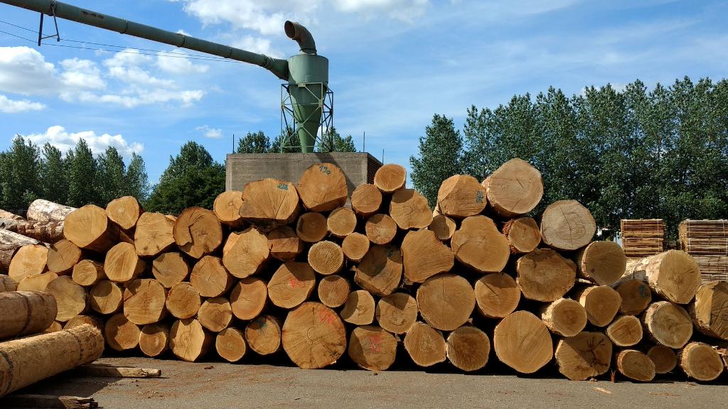 2026年一季度木材价格实施新一轮大幅上调！