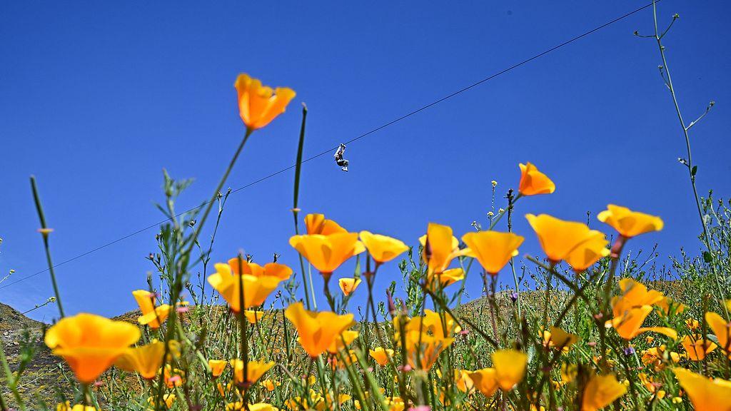 安徽小伙朱俊锋80万开面馆不到20天倒闭，亏60万后再投40万开新店