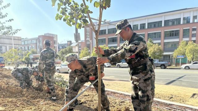 始兴县：种下“参军林”，植下强军梦