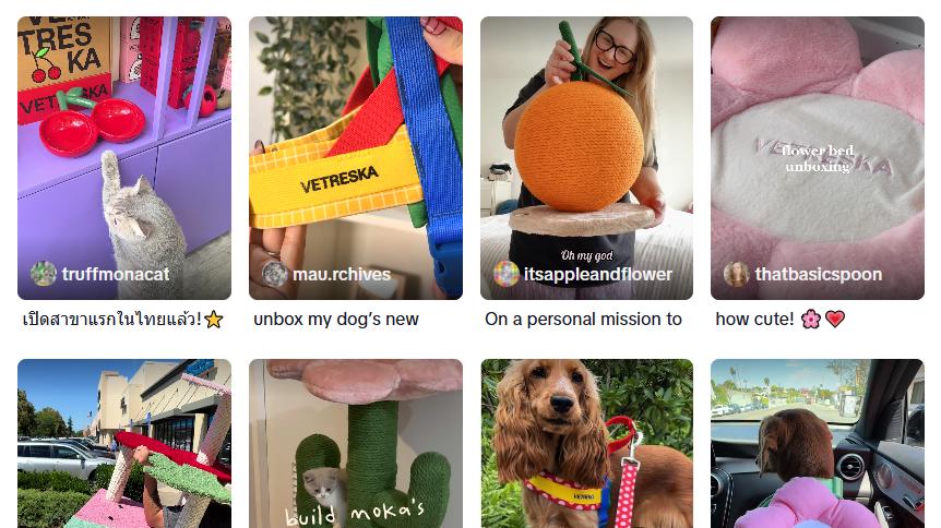 一年吸金上亿！上海又跑出一个宠物赛道的“爆款制造机”！