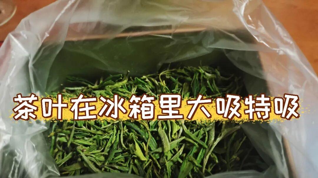 赶紧排查冰箱：有“这8样”东西，尽快拿出来，别等出事再后悔！