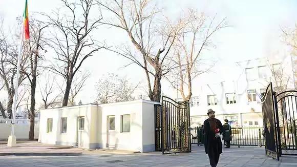 财神画家沈松被荣宝斋推荐 作品获马里大使馆永久性收藏