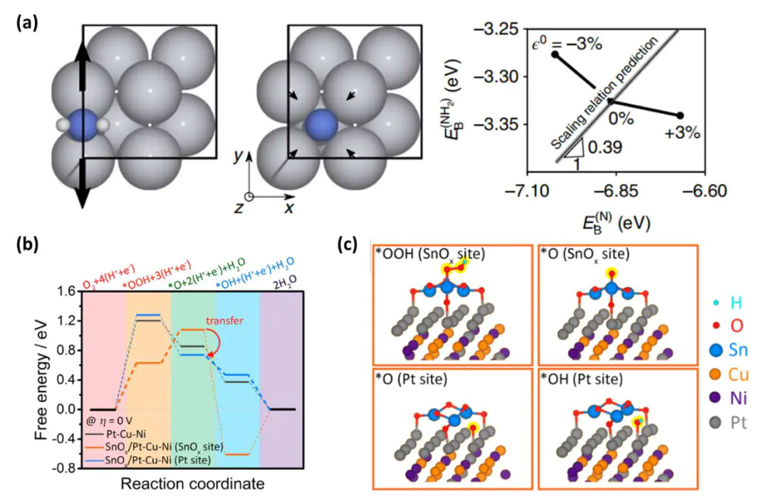 吸附强弱有何影响？萨巴蒂尔原理、火山图与DFT计算的电催化过电势解析