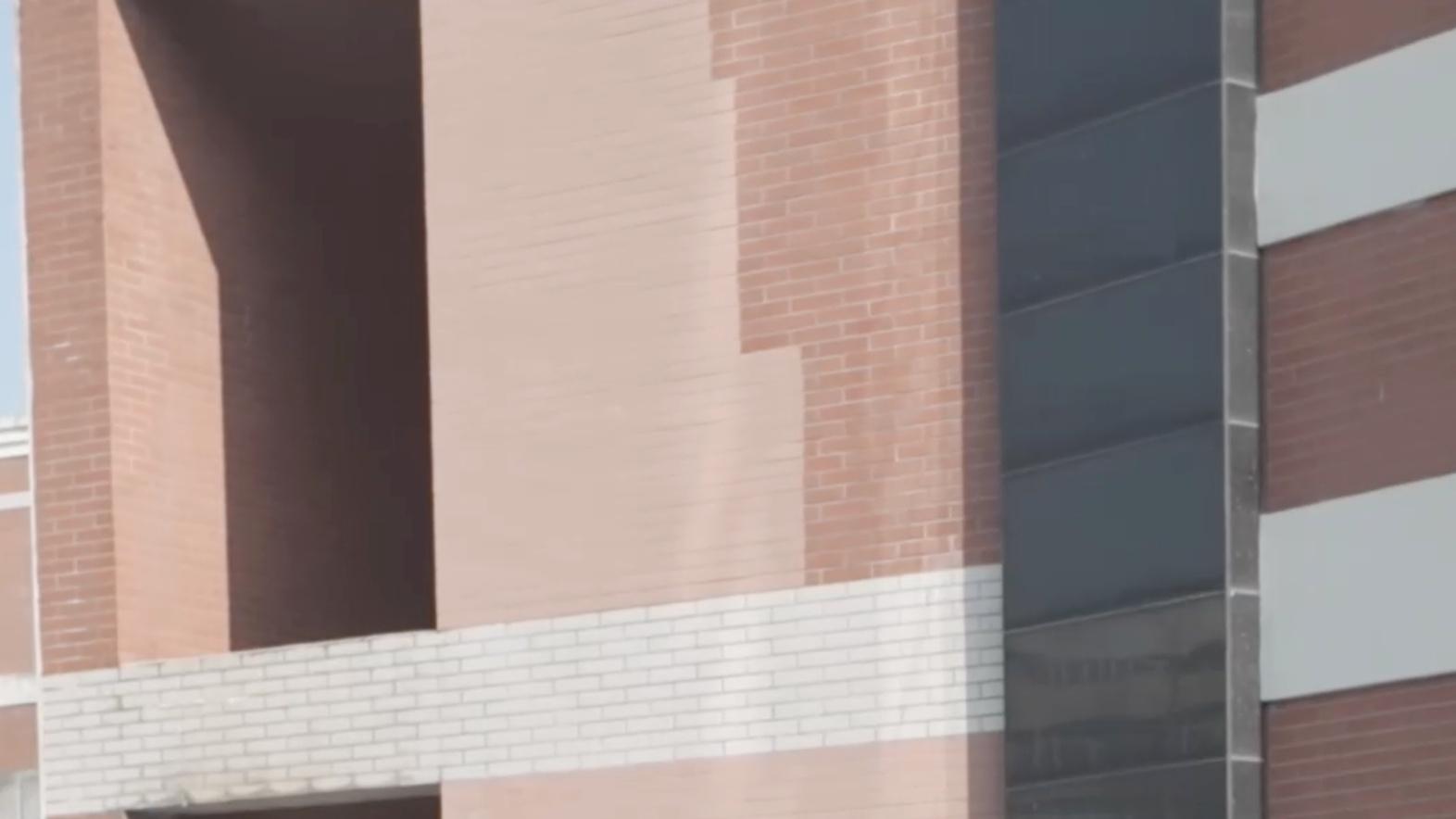 高校里真能明显感觉到比亚迪越来越多了