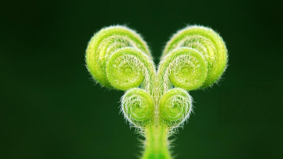 两金同日，秘密不在雪上