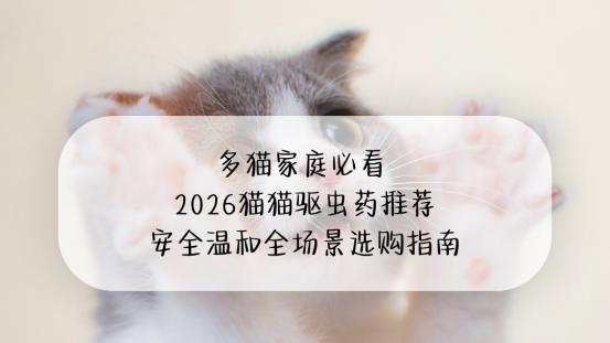 多猫家庭快看 2026猫猫驱虫药推荐 安全温和全场景选购指南