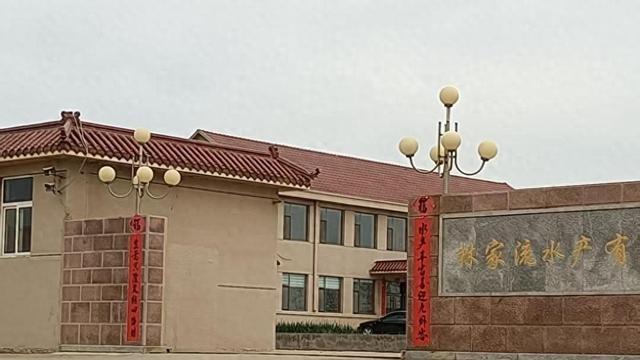 山东荣成：原村支书虚构集体企业债务被查处 群众反映集体资产未返还