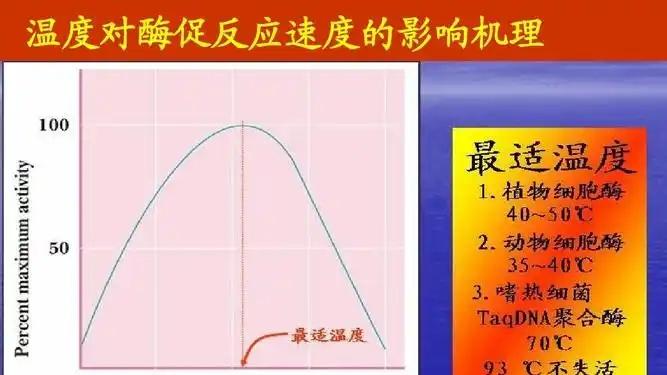深度长文：人体卡死37℃，为啥不进化成40℃，直接烫死病毒癌细胞？