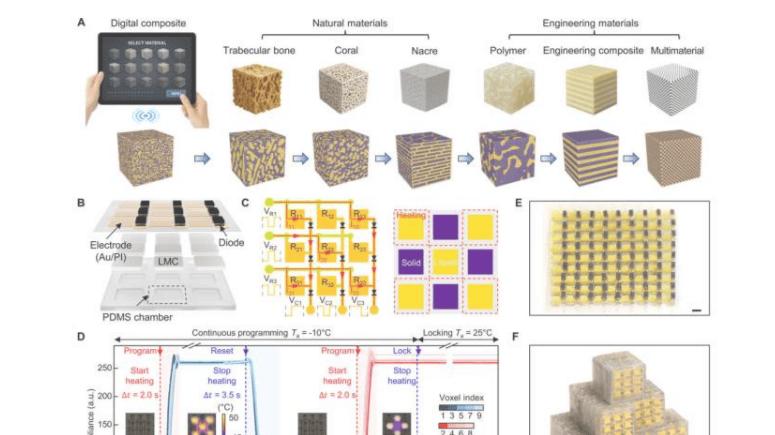 可编程仿生机器人材料研究迎新突破