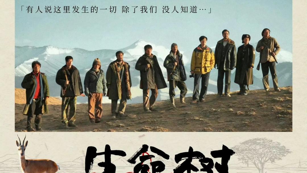 杨紫、胡歌新剧开播就被黑？“梅朵”演技差？《生命树》剧粉：可以差评，但不接受恶评！