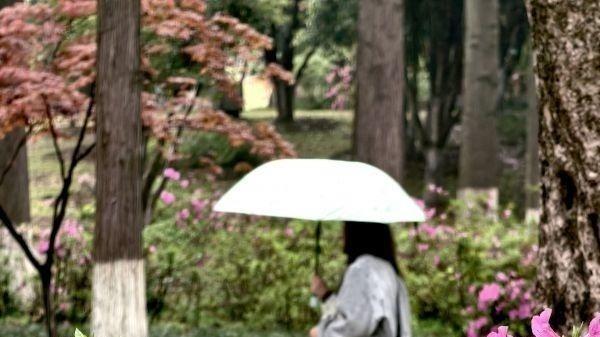 青山公园第十五届杜鹃节数数万株杜鹃花斗艳 游客置身花海之中