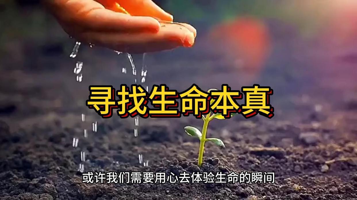 为什么现代人需要回归自然，才可以重获自由——能帮助我们打破心灵枷锁的，