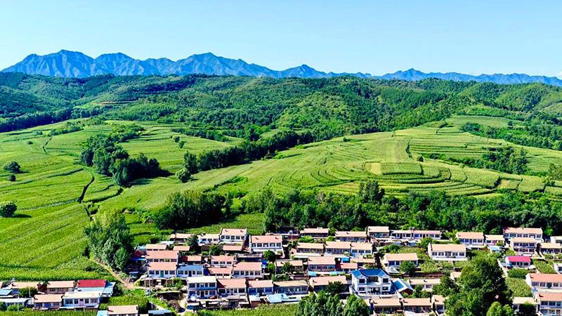 【美文欣赏】青山踏新途：西杖子村的时代答卷