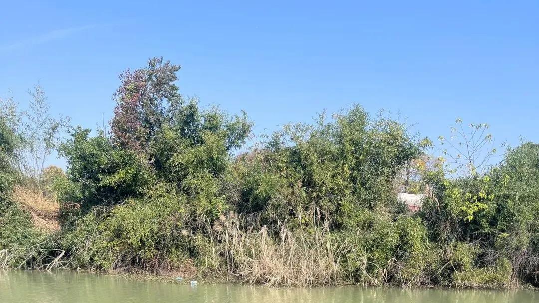 钓鱼佬的野钓情缘