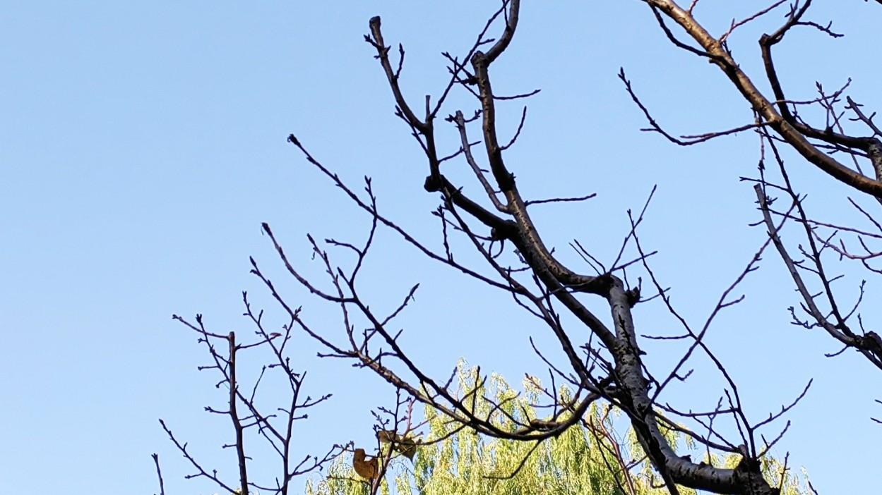 职场真相：利他的动机？利己的交易？