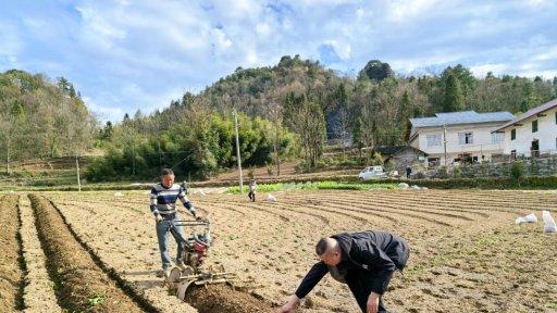 湖北建始：香树湾的春日“标尺”