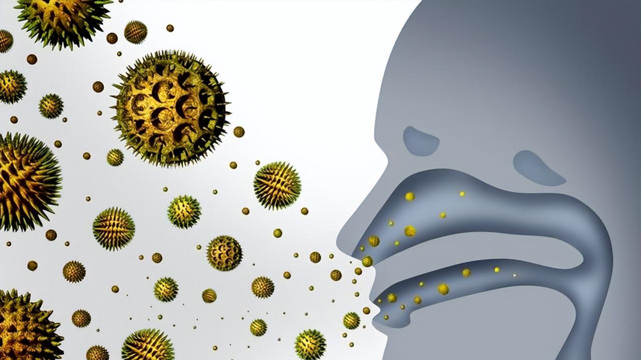 哮喘发作时，你的气道里发生了什么？避开6个触发因素