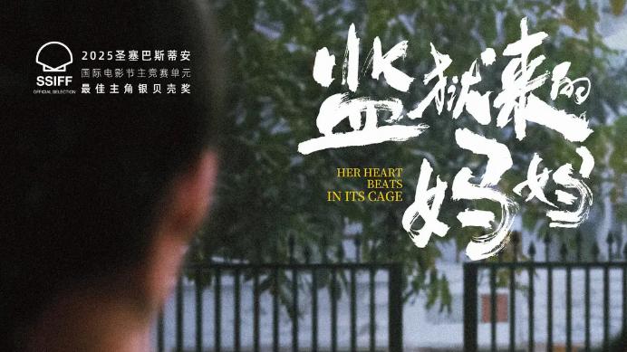 《监狱来的妈妈》：洗白案件惹众怒