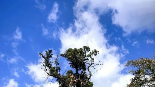 【文化旅游】孝义临水“文旅共富工坊”探索文旅富民新路径