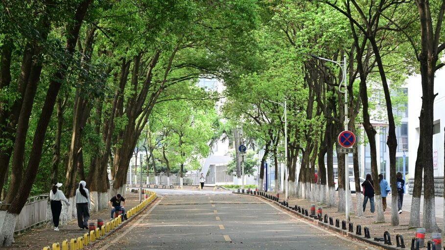 三峡电力职业学院怎么样？进电网、入央企、专升本，这所院校全满足！