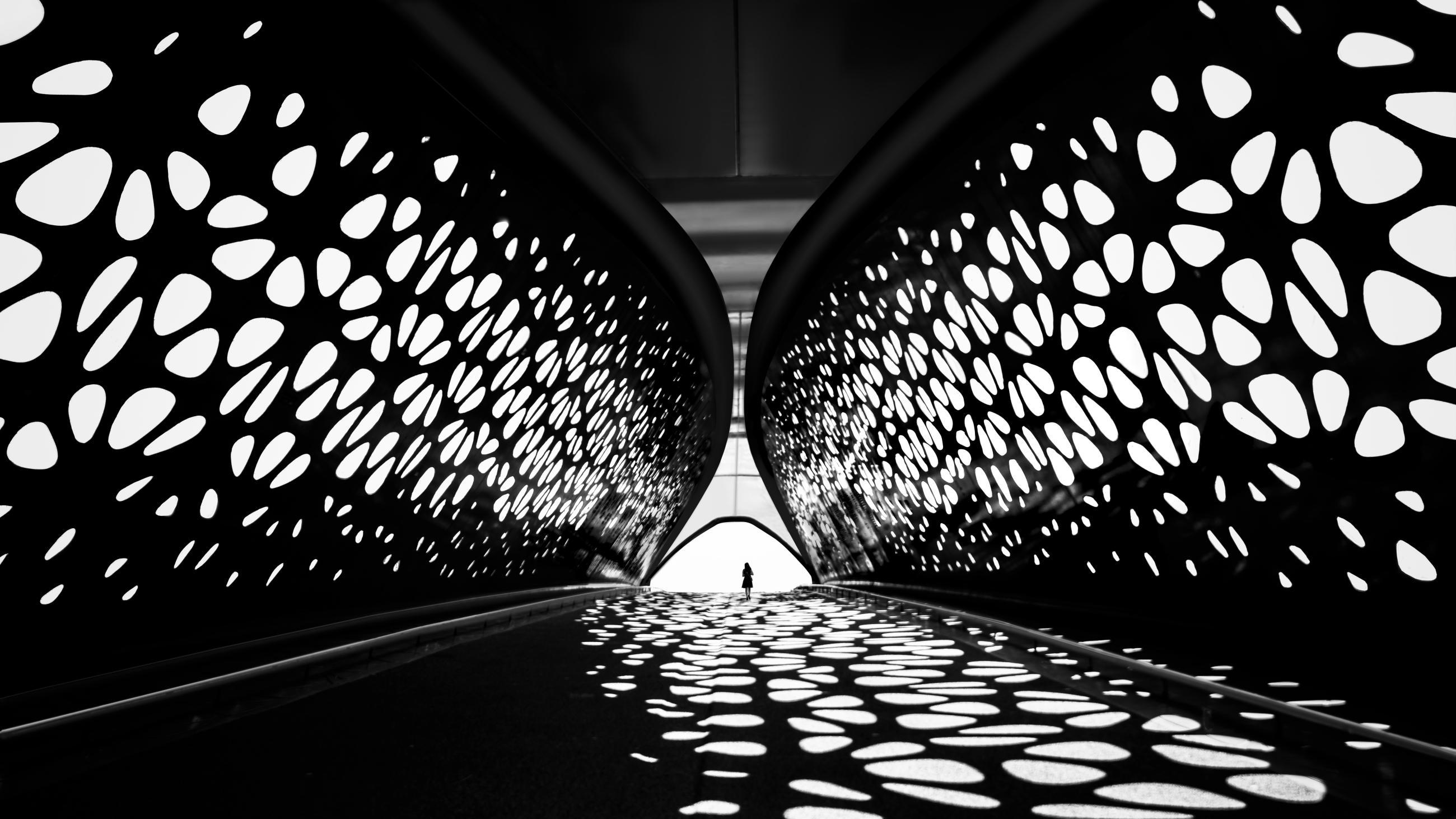 索尼世界摄影奖2025获奖作品（12）