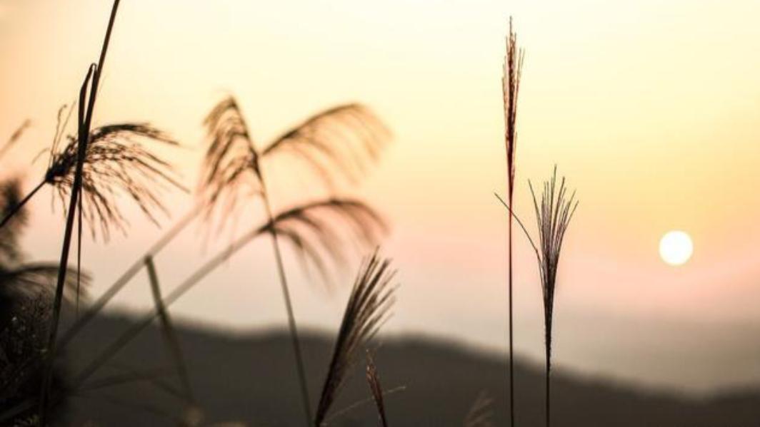 当思维按下暂停键：双相情感障碍认知损害的5个破解策略。