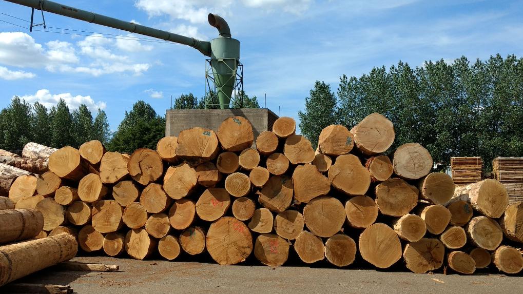 2026年木材价格大跳涨，市场要“变天”？