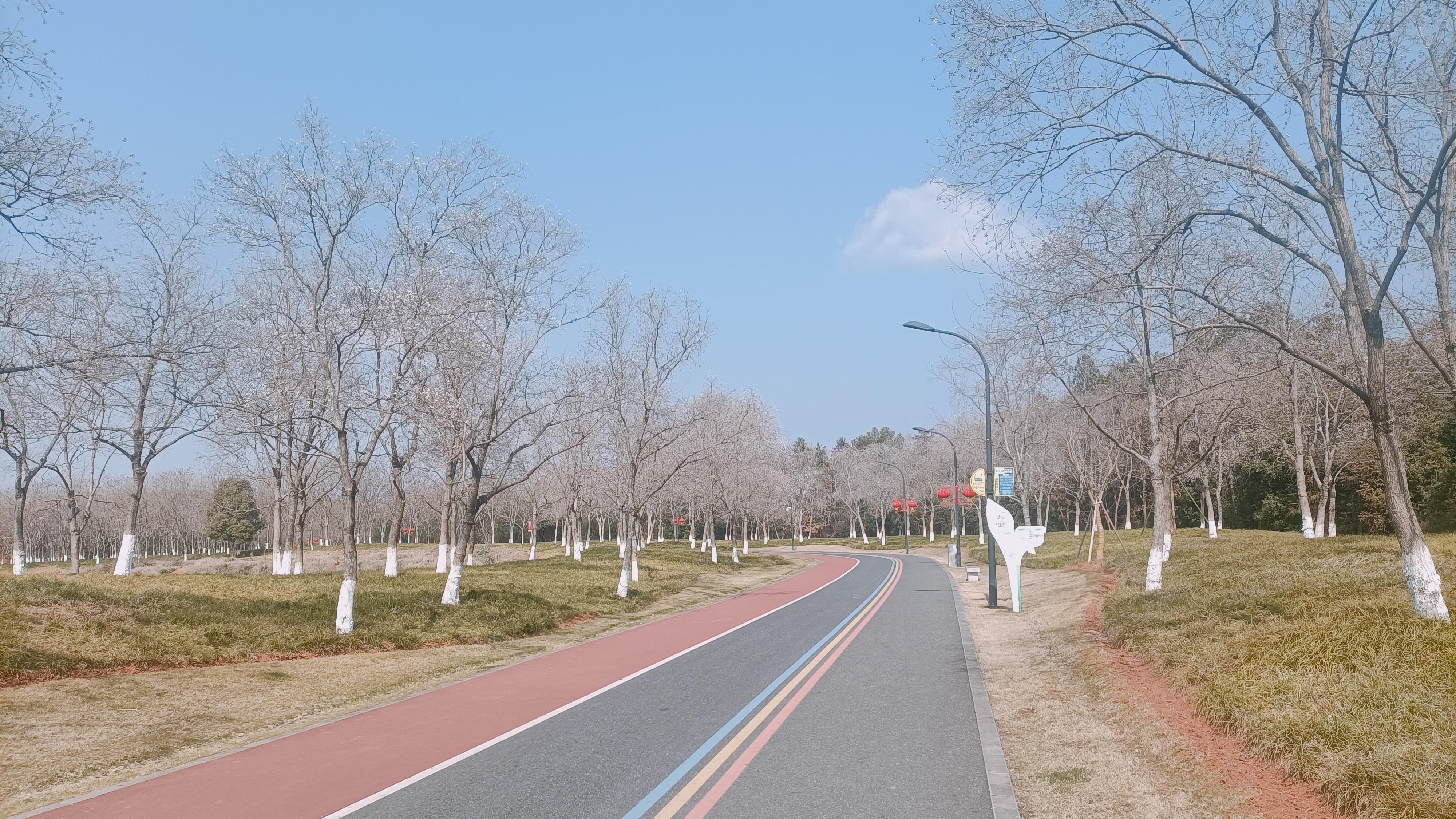 曾经我们约定，年年都回村过年