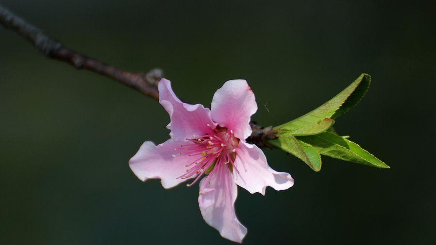 给自己，三分余地