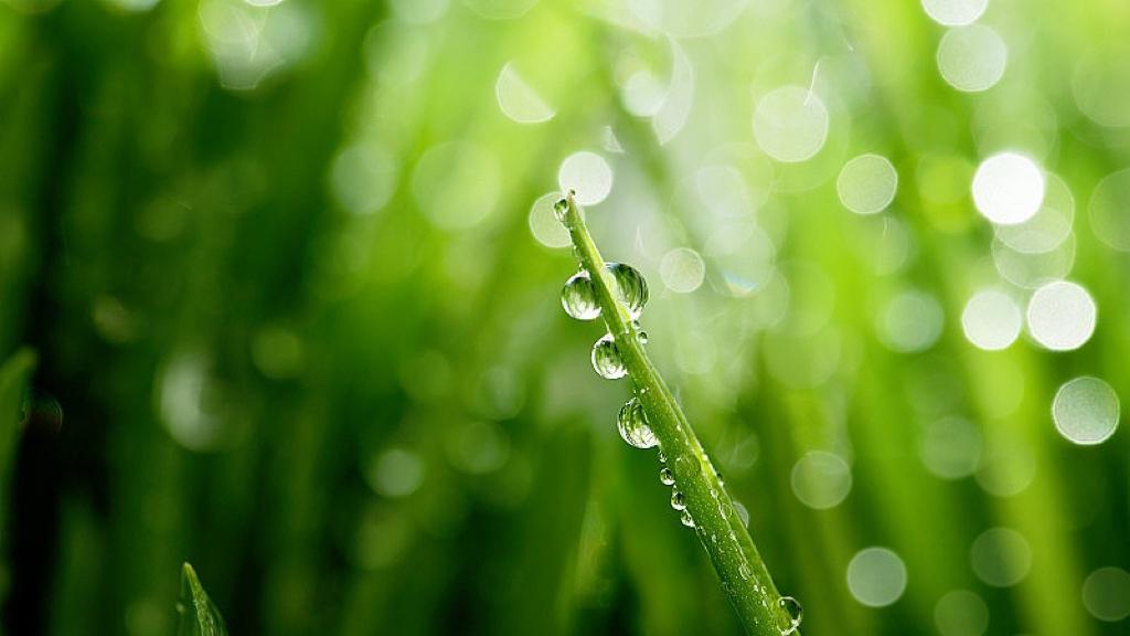 自动驾驶出事了，锅到底谁背