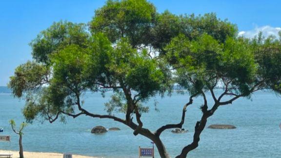 以月为名，以潮为乐：玩月坡的原生海岸之美