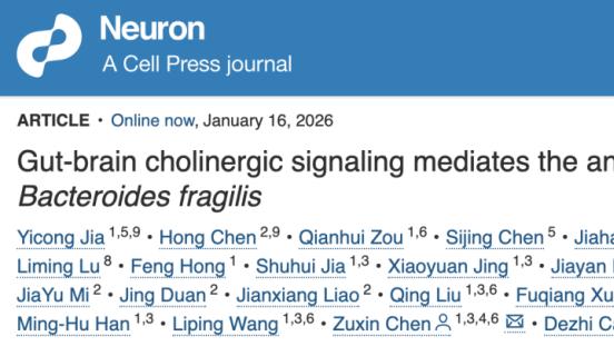 高分研究报告：癫痫治疗新希望！肠道这个菌与癫痫直接相关