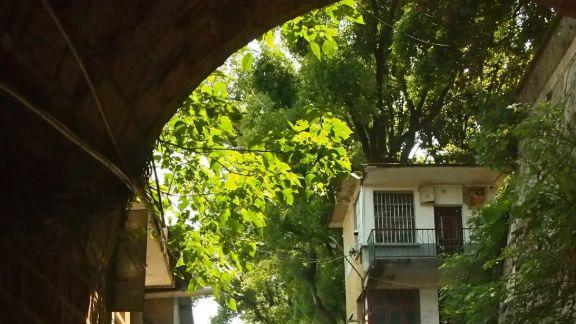 长沙老城记忆：在西园北里倾听斑驳墙面的故事