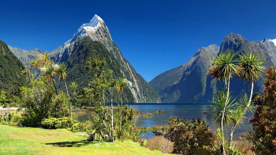 天塌了，多少人在给自己挖坑，缴纳15年养老保险无法退休