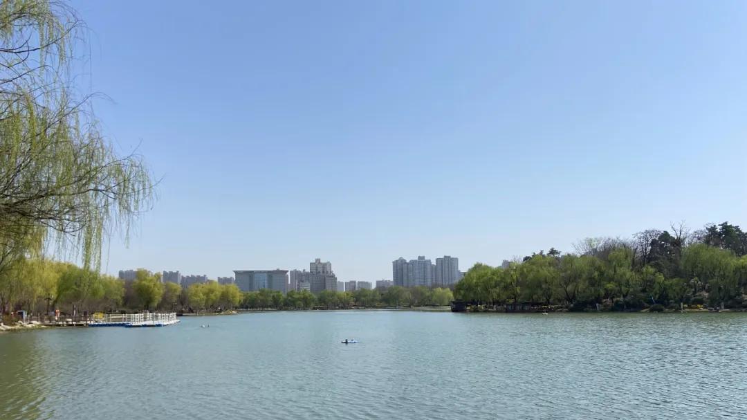 西安7宗共约303亩地成交！保亿、海荣、新兴等摘地！