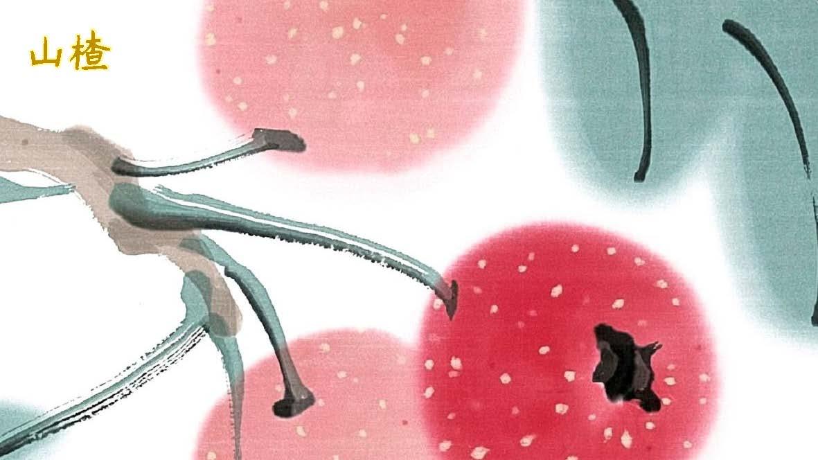 柿、山楂、君迁子《纲目》果部-山果类2