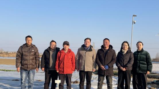 中原学者张晓伟研究员指导信阳黄心菜产业提质增效